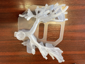 Modelul transparent al cailor aeriene realizat prin 3D printing